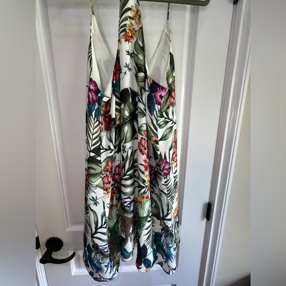 Carolina Belle - Picture 2 of 4